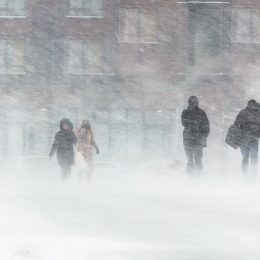 Polar Vortex Is Bringing an "Arctic Blast" to the U.S.—Here's When and Where