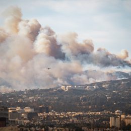 Scientists Warn Wildfire Smoke Could Cause "Really Bad Neurological Health"
