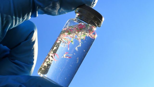 A Spoonful of Microplastics Could Be Stuck in Your Brain, Disturbing New Study Finds