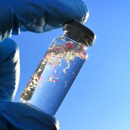 A Spoonful of Microplastics Could Be Stuck in Your Brain, Disturbing New Study Finds