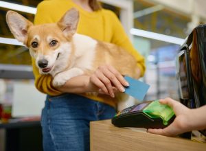 27 Stores You Didn't Realize Are Dog-Friendly