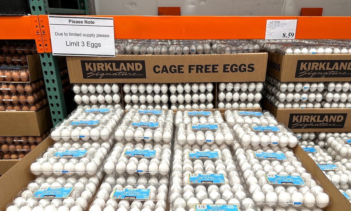 Frustrated Costco Shoppers Share Videos of Lines to Buy Eggs: "Sold Out in 5 Minutes"