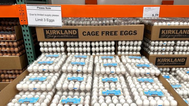 Frustrated Costco Shoppers Share Videos of Lines to Buy Eggs: "Sold Out in 5 Minutes"