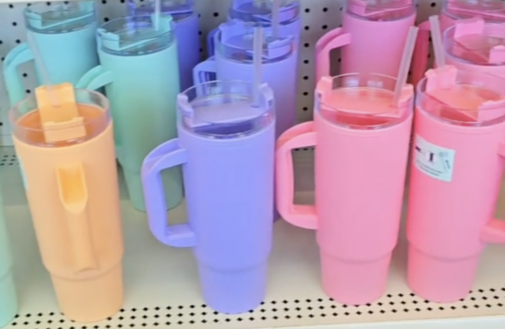 Shoppers Are Rushing to Dollar Tree for These $1.25 Stanley Tumbler Dupes