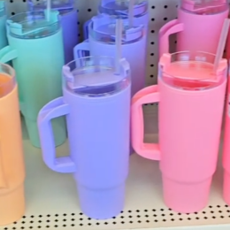 Shoppers Are Rushing to Dollar Tree for These $1.25 Stanley Tumbler Dupes