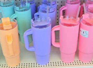 Shoppers Are Rushing to Dollar Tree for These $1.25 Stanley Tumbler Dupes