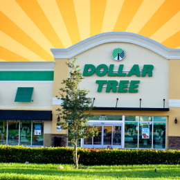 The Absolute Best 8 Things to Buy at Dollar Tree, According to Retail Experts