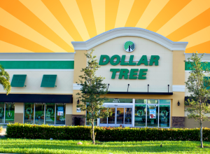 The Absolute Best 8 Things to Buy at Dollar Tree, According to Retail Experts
