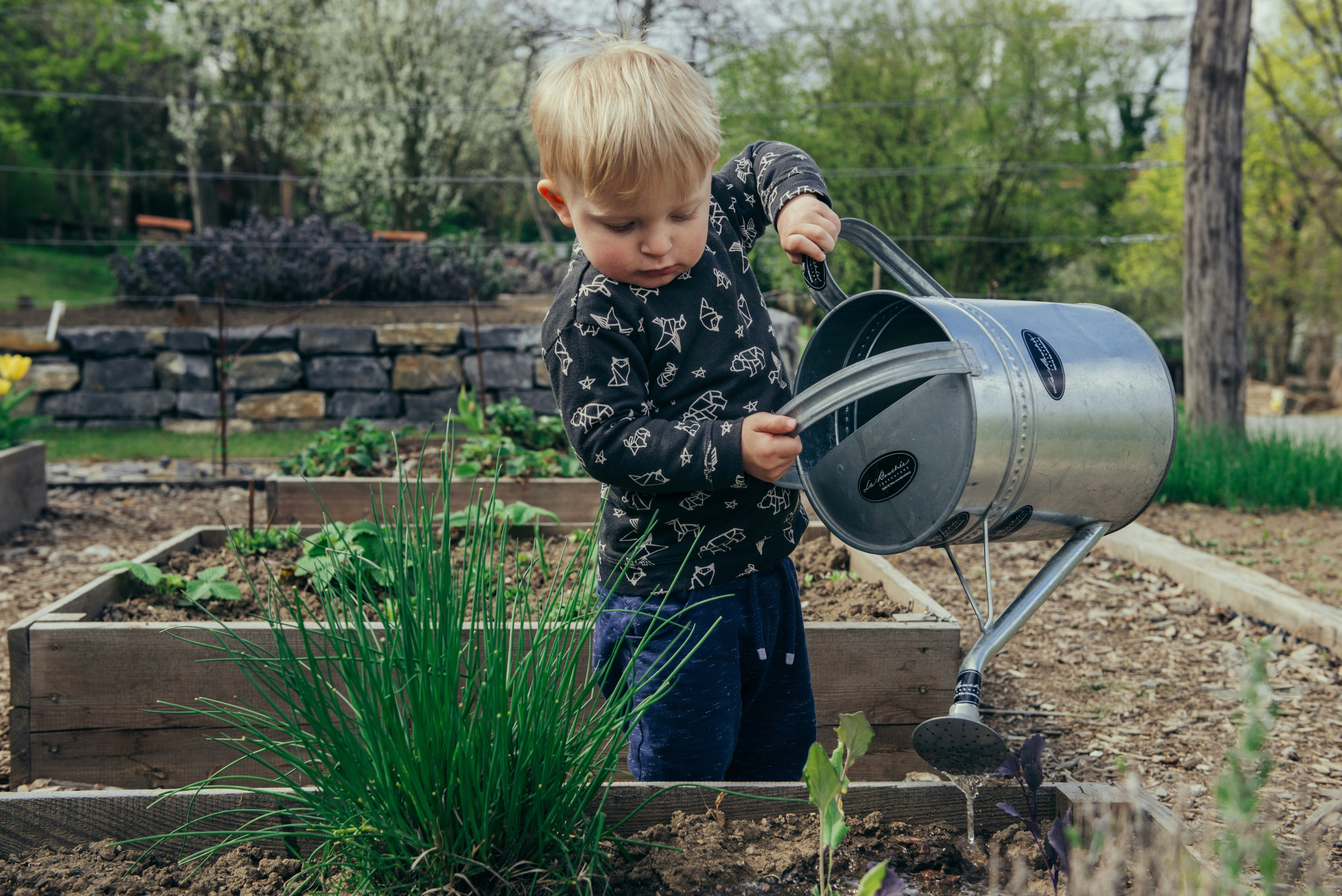 a boy helps with gardening efforts
