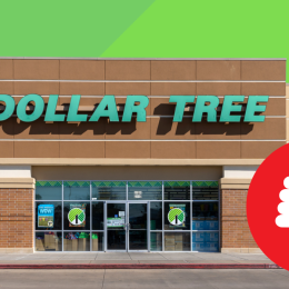 Even for $1.25, These 10 Dollar Tree Items Aren’t Worth It, Experts Say