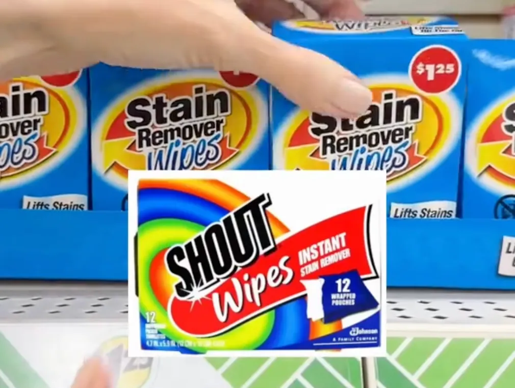 Shout Wipes dupes at Dollar Tree