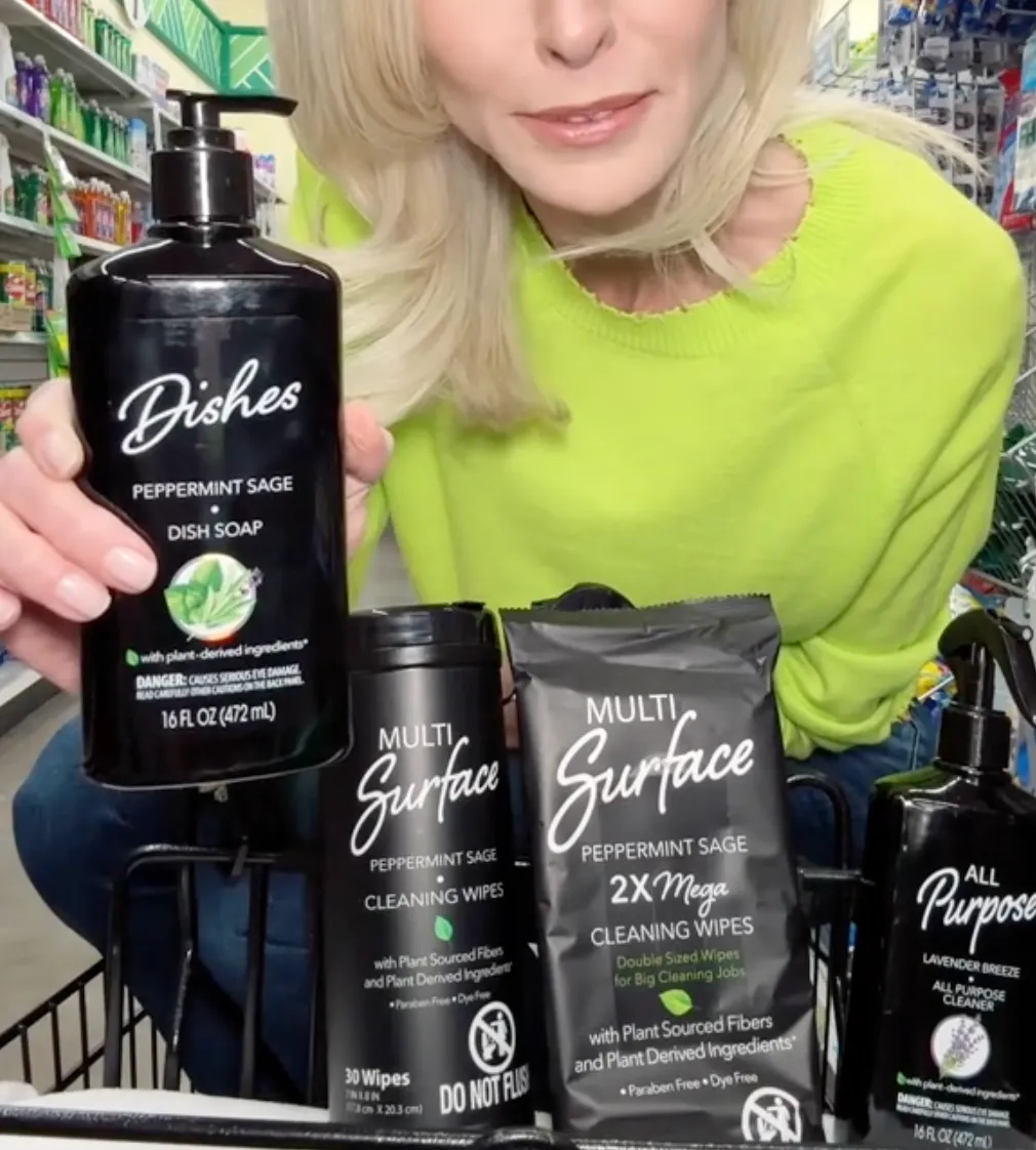 cleaning products at Dollar Tree