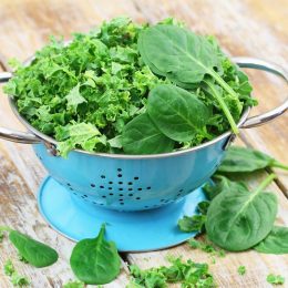 Research Reveals the No. 1 Vitamin to Keep Your Brain Sharp