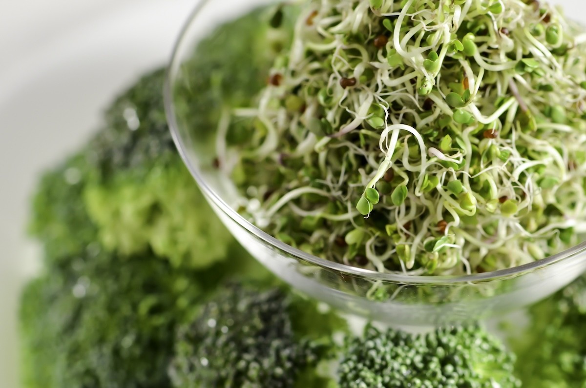 broccoli sprouts in a glass bowl sitting atop broccoli