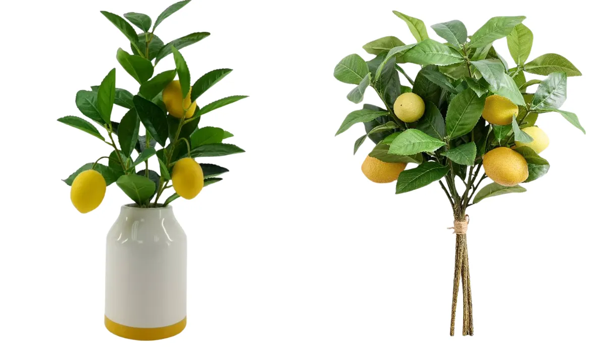 Lemon tree branches from Walmart and Pottery Barn