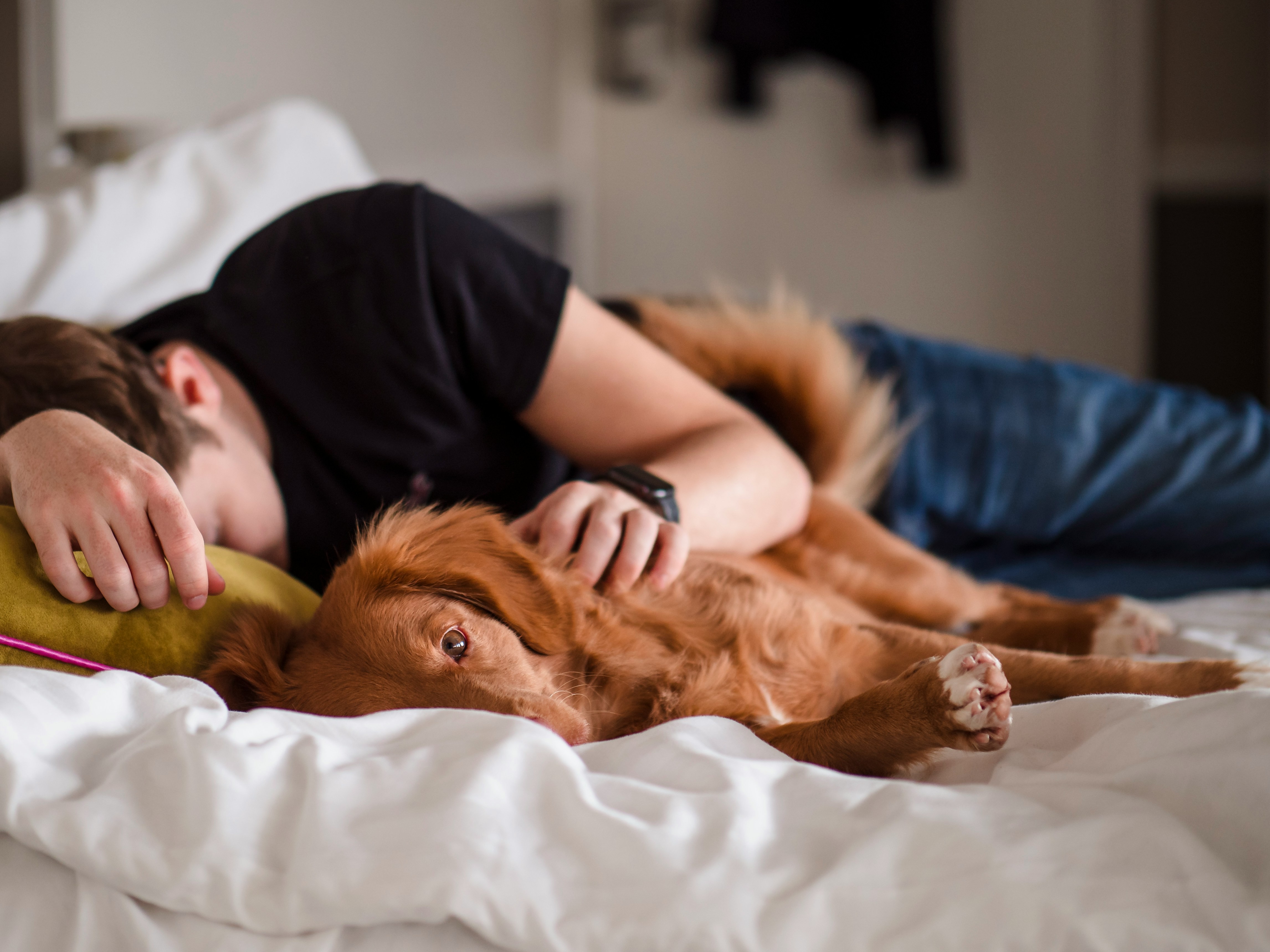 a pet owner sleeps with their dog