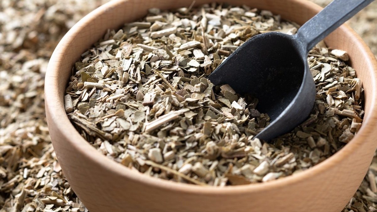 Does Yerba Mate Help With Weight Loss?
