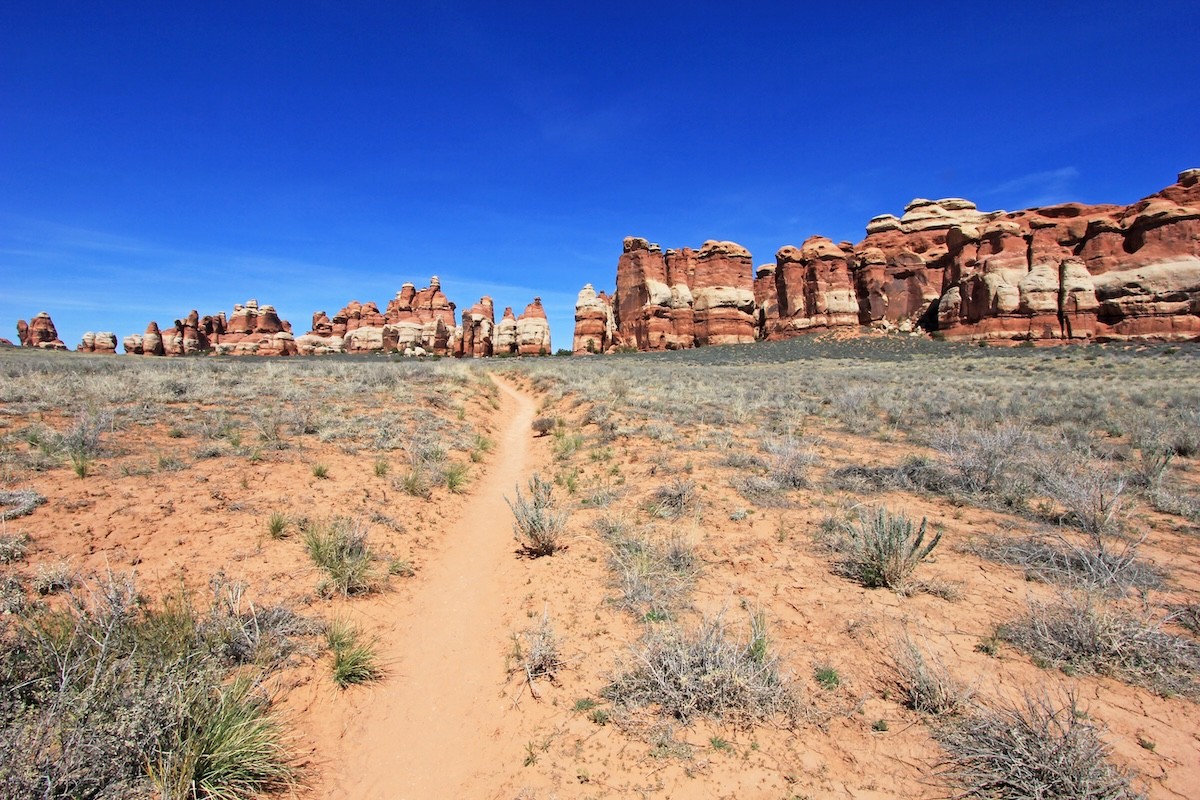 Needles District in Canyonlands National Park