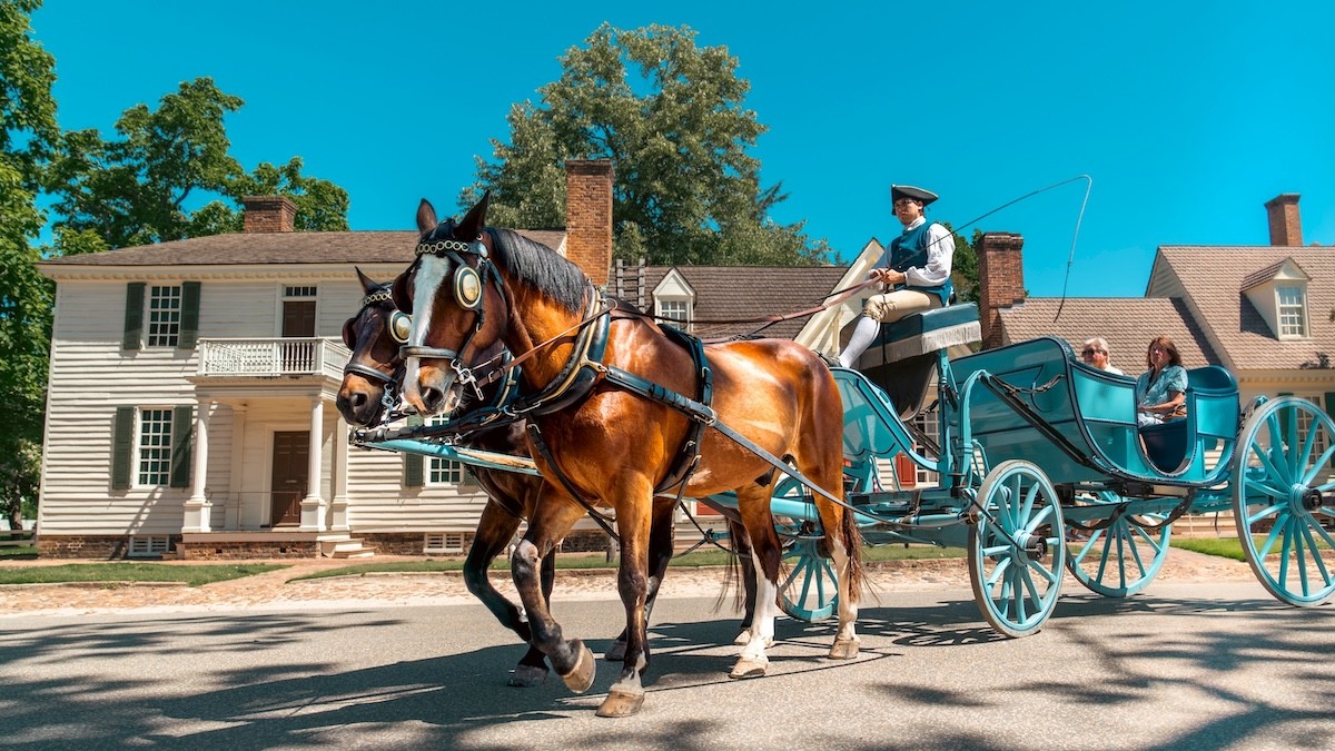 horse and buggy in Colonial Williamsburg