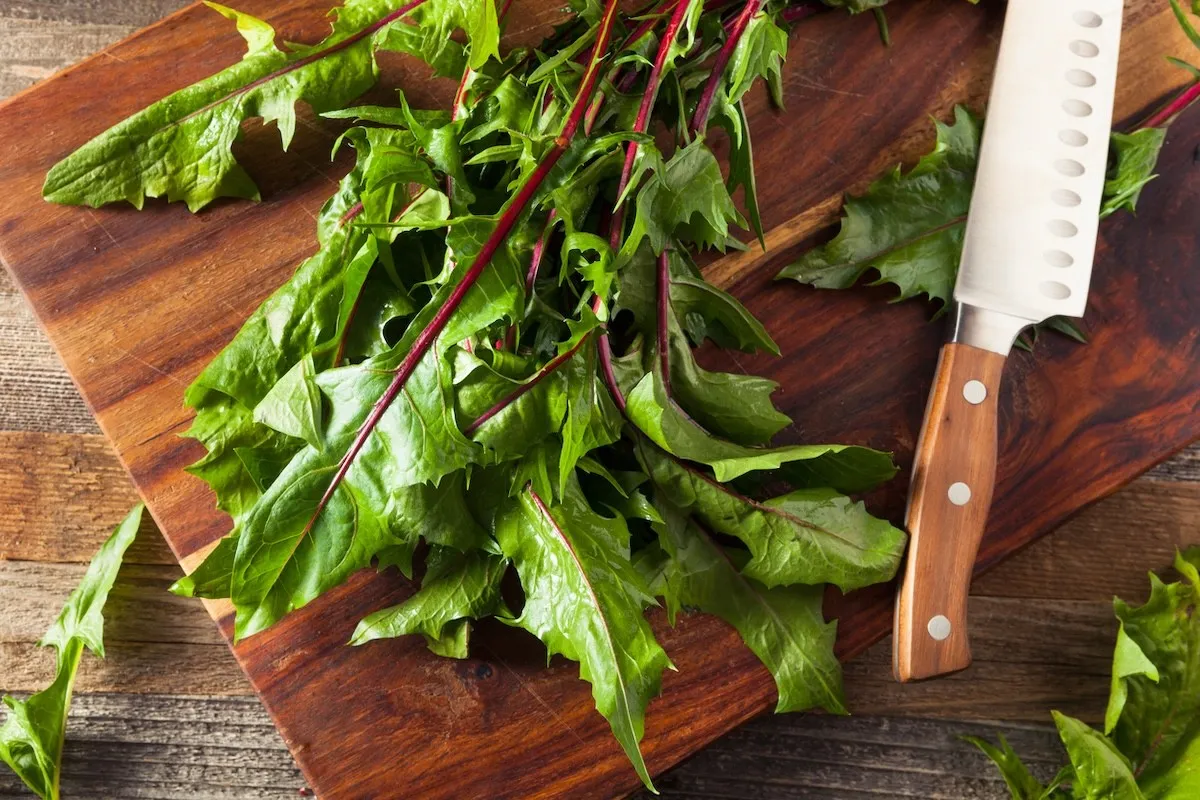 dandelion greens and a knife on a cutting board