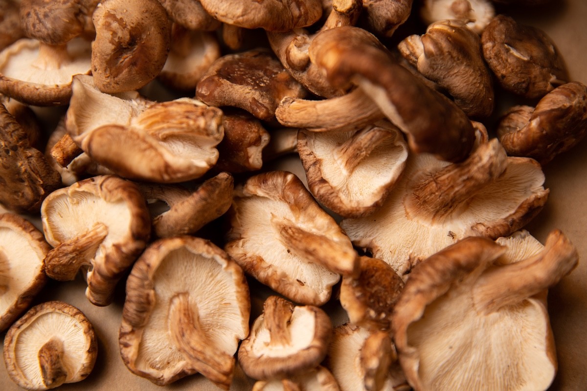 closeup of shiitake mushrooms