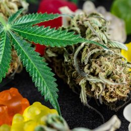 Marijuana Doubles Your Risk of Dying From Heart Disease—And Edibles May Not Be Safer