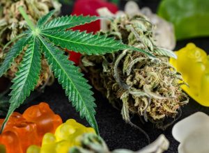 Marijuana Doubles Your Risk of Dying From Heart Disease—And Edibles May Not Be Safer