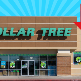 Dollar Tree Is Selling the Same Exact Products as Walmart and Amazon for $27 Cheaper