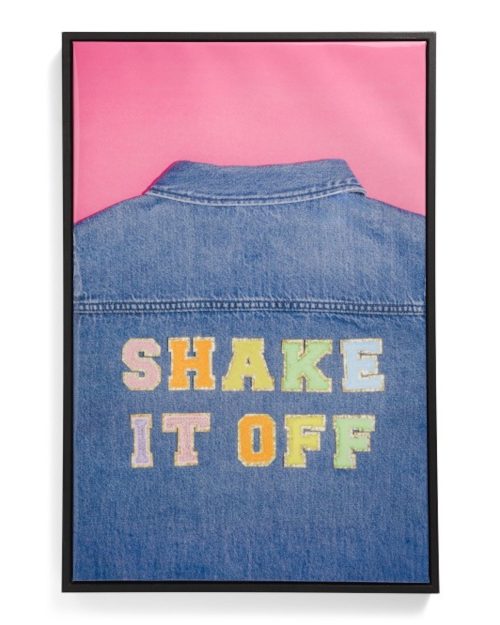 Shake it off art