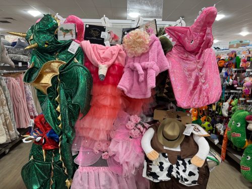 Dog costumes HomeGoods