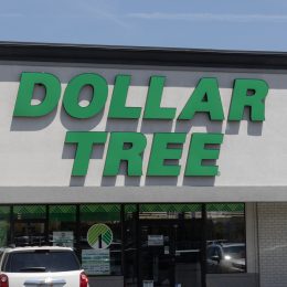 The storefront sign of a Dollar Tree