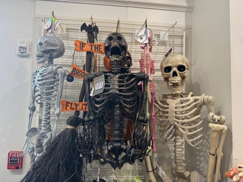 HomeGoods skeletons