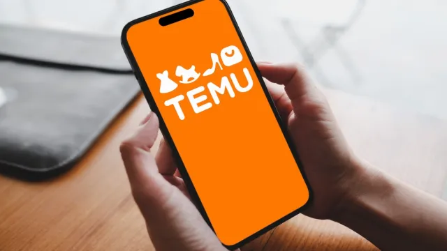 The Temu logo on a smartphone in someone's hand