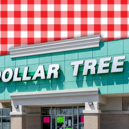 7 Best Dollar Tree Kitchen New Arrivals Hitting Shelves This Week