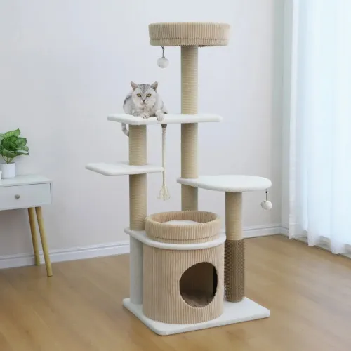 cat condo 