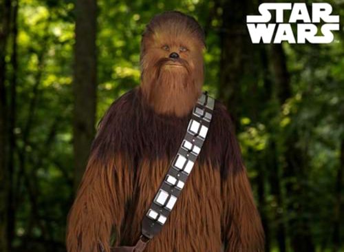 Star Wars Chewbacca Costume