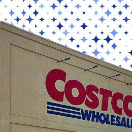 7 Best New Costco Christmas Decor Finds