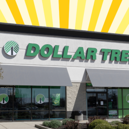dollar tree against a yellow sunburst background