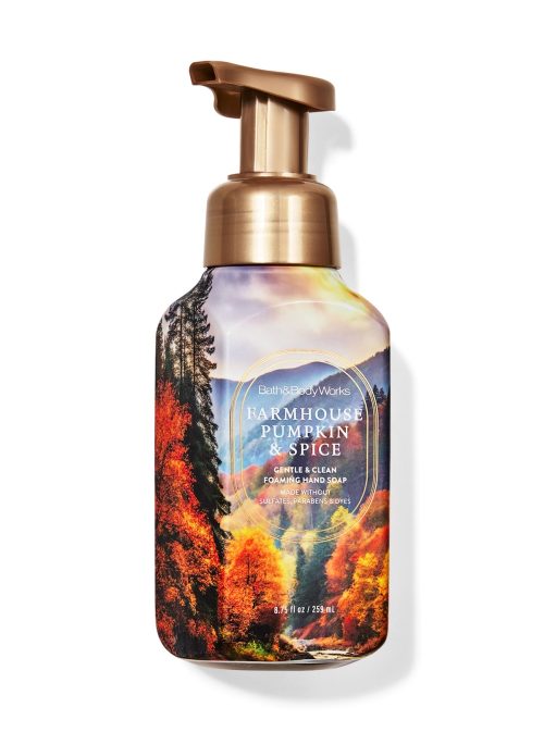 pumpkin spice soap Bath & Body Works