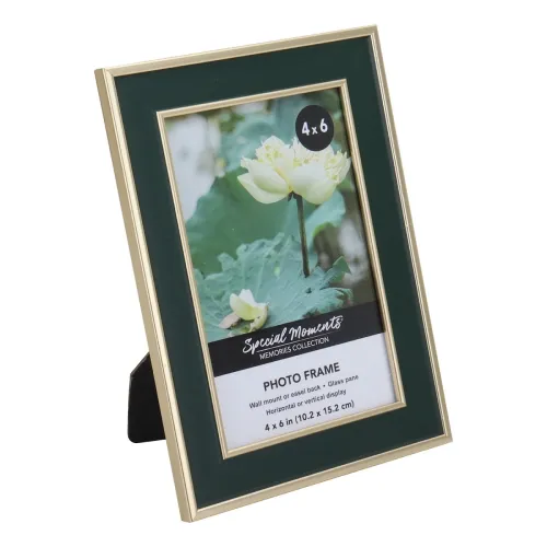 green frame Dollar Tree