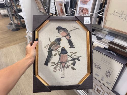 framed bird homegoods