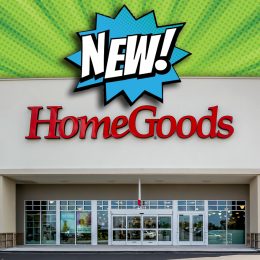 New at HomeGoods