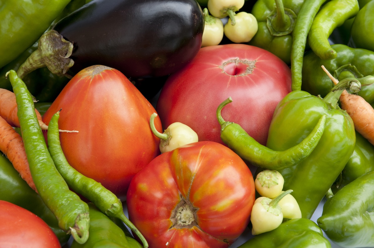 closeup of the nightshade vegetables tomatoes, peppers, and eggplant