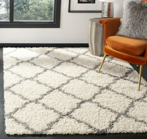 stylish living room with rug