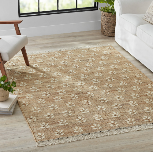 stylish living room with rug