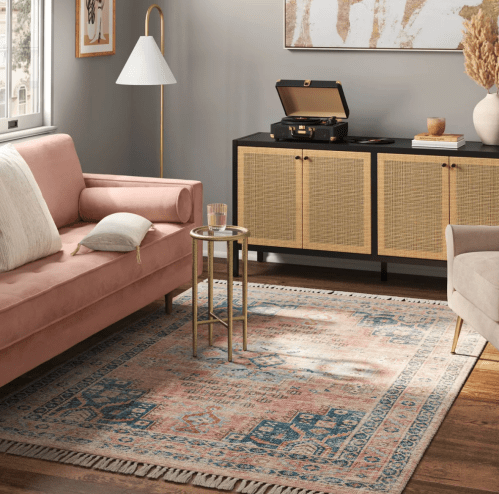 stylish living room with rug