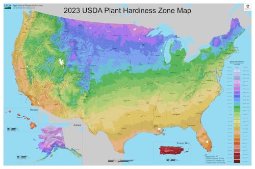 USDA Plant Hardiness Zone Map