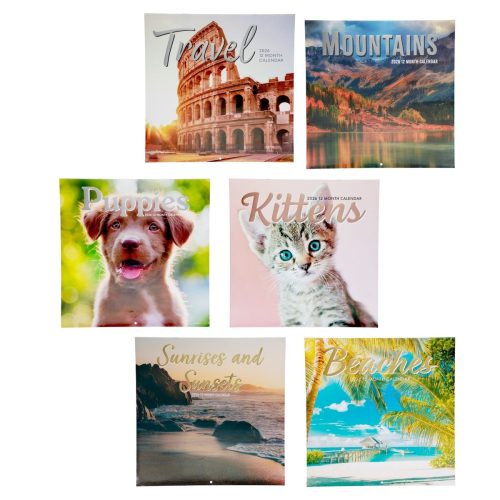 wall calendars Dollar Tree