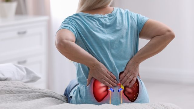 rear view of a woman in a blue t-shirt sitting on her bed clutching her lower back in pain, with a graphic of kidneys overlaid