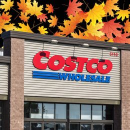 11 Best New Costco Items Hitting Shelves Mid-October (no food)